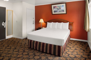 Room, 1 Queen Bed, Roll-in Shower
