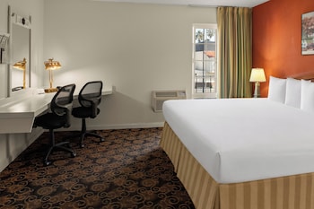 Room, 1 Queen Bed, Roll-in Shower