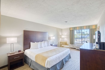 Standard Room, 1 King Bed, Non Smoking, Pool View