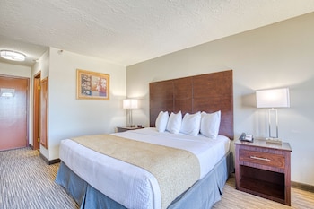 Standard Room, 1 King Bed, Non Smoking, Pool View
