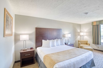 Standard Room, 1 King Bed, Non Smoking, Pool View
