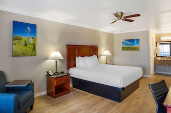 Standard Room, 1 King Bed, Non Smoking, Refrigerator & Microwave