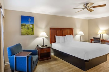 Standard Room, 1 King Bed, Non Smoking, Jetted Tub