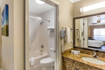 Standard Room, 1 King Bed, Non Smoking, Refrigerator & Microwave (Pet Friendly)