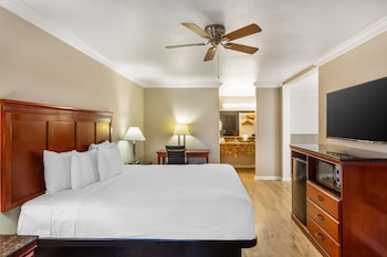 Standard Room, 1 King Bed, Non Smoking, Jetted Tub