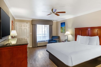 Standard Room, 1 King Bed, Non Smoking, Refrigerator & Microwave (Pet Friendly)