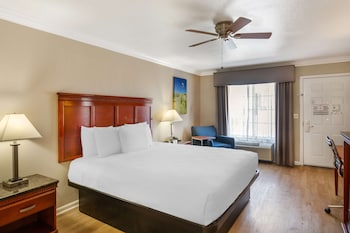 Standard Room, 1 King Bed, Accessible, Non Smoking
