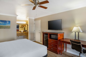 Standard Room, 1 King Bed, Non Smoking, Refrigerator & Microwave (Pet Friendly)