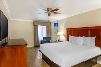 Standard Room, 1 King Bed, Non Smoking, Jetted Tub