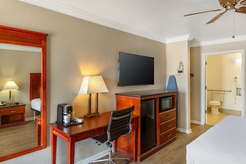 Standard Room, 1 King Bed, Accessible, Non Smoking