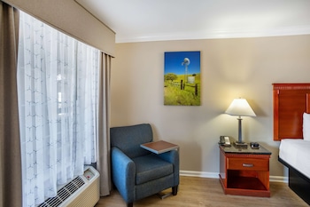 Standard Room, 1 King Bed, Non Smoking, Refrigerator & Microwave (Pet Friendly)