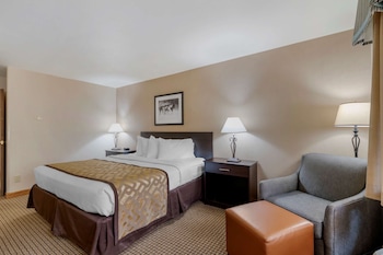 Standard Room, 1 Queen Bed, Non Smoking, Refrigerator & Microwave