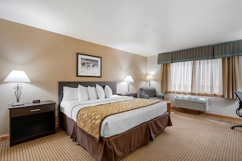 Standard Room, 1 Queen Bed, Non Smoking, Refrigerator & Microwave