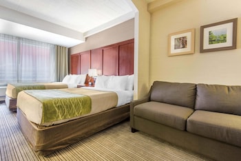 Suite (2 Queen Beds, Sofa Bed)