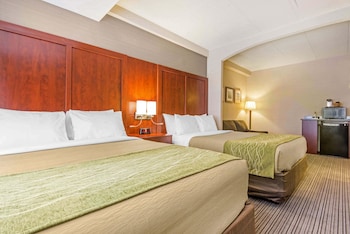 Suite (2 Queen Beds, Sofa Bed)