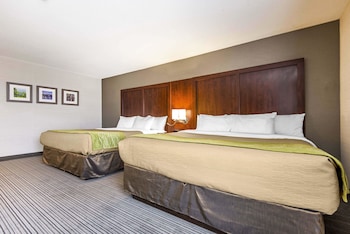 Suite (2 King Beds)