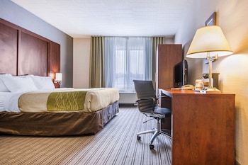 Room, 1 King Bed