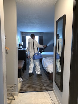 Standard Room, 1 King Bed, Non Smoking, Refrigerator & Microwave