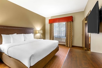 Suite, 1 King Bed, Non Smoking (Sofa)