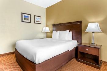 Standard Room, 1 Queen Bed, Non Smoking