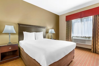 Standard Room, 1 King Bed, Accessible, Non Smoking (Roll-In Shower)