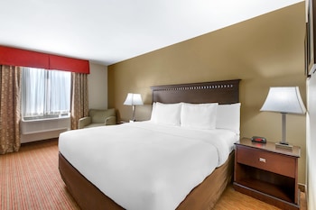 Standard Room, 1 King Bed, Non Smoking