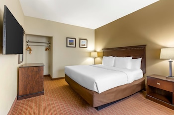 Suite, 1 King Bed, Non Smoking (Sofa)