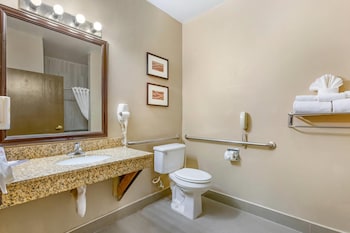 Standard Room, 1 King Bed, Accessible, Non Smoking (Roll-In Shower)