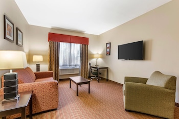Suite, 1 King Bed, Non Smoking (Sofa)