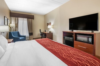 Room, 1 King Bed, Accessible, Non Smoking