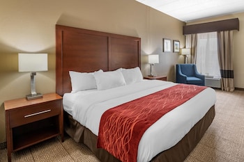 Room, 1 King Bed, Accessible, Non Smoking