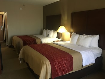 Standard Room, 2 Queen Beds