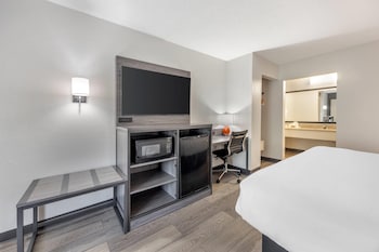Standard Room, 1 King Bed, Non Smoking