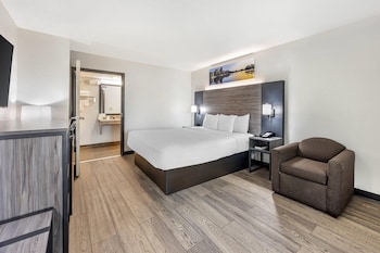 Room, 1 King Bed, Accessible, Non Smoking