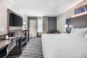 Room, 1 King Bed, Non Smoking, Jetted Tub
