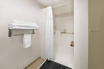 Standard Room, 1 Queen Bed, Roll-in Shower (Mobility Accessible)