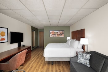 Standard Room, 1 King Bed with Sofa bed