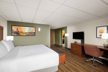 Suite, 1 King Bed, Roll-in Shower (Mobility Accessible)