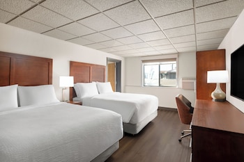 Suite, 1 Bedroom