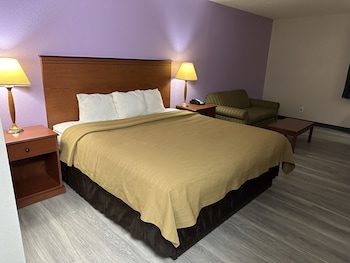 Room, 1 King Bed, Smoking (Pet Friendly)