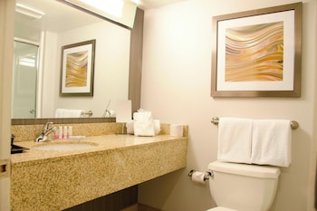 Room, 1 King Bed with Sofa bed, Hearing Accessible (Roll-in Shower & Accessible Bathtub)