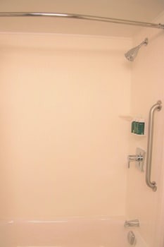 Room, 1 King Bed with Sofa bed, Hearing Accessible (Roll-in Shower & Accessible Bathtub)