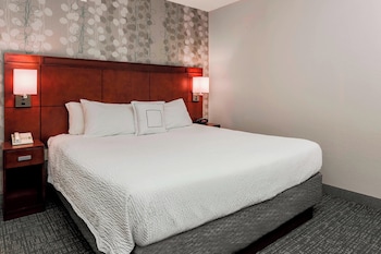 Room, 1 King Bed with Sofa bed, Hearing Accessible (Accessible Bathtub)