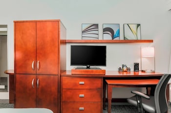 Room, 1 King Bed with Sofa bed, Hearing Accessible (Accessible Bathtub)