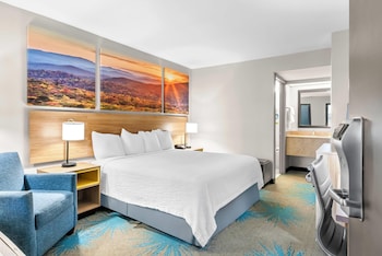 Room, 1 King Bed, Non Smoking