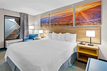 Room, 1 King Bed, Non Smoking