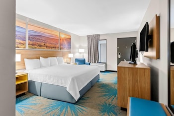Room, 1 King Bed, Accessible