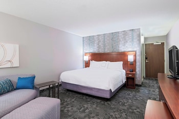 Room, 1 King Bed with Sofa bed (Mobility/Hearing Access, Roll-In Shwr)