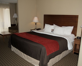 Suite, 1 King Bed with Sofa bed, Non Smoking