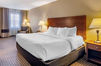 Standard Room, 1 King Bed, Non Smoking